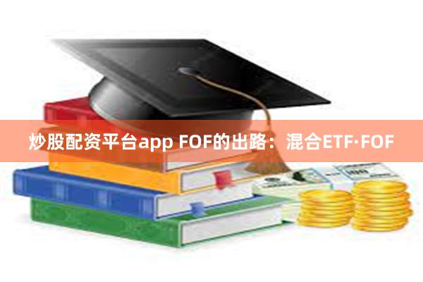 炒股配资平台app FOF的出路：混合ETF·FOF