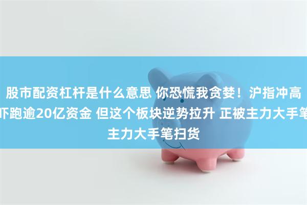 股市配资杠杆是什么意思 你恐慌我贪婪！沪指冲高回落吓跑逾20亿资金 但这个板块逆势拉升 正被主力大手笔扫货