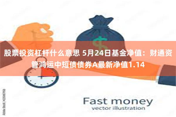 股票投资杠杆什么意思 5月24日基金净值：财通资管鸿运中短债债券A最新净值1.14