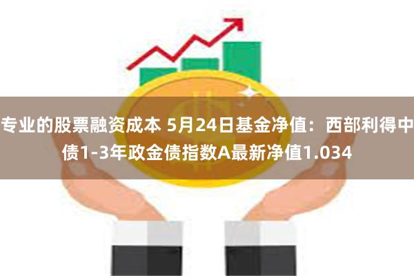 专业的股票融资成本 5月24日基金净值：西部利得中债1-3年政金债指数A最新净值1.034