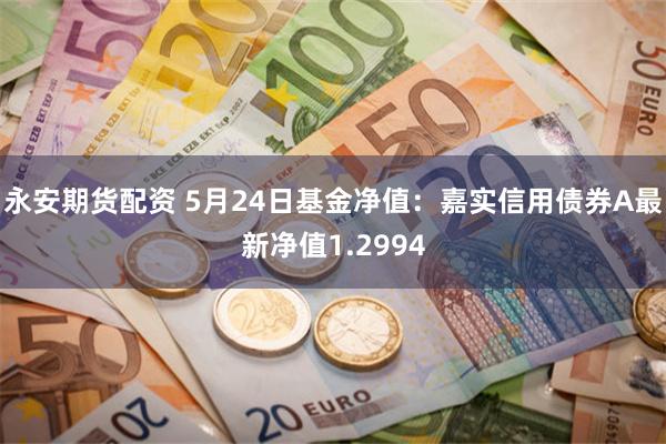 永安期货配资 5月24日基金净值：嘉实信用债券A最新净值1.2994