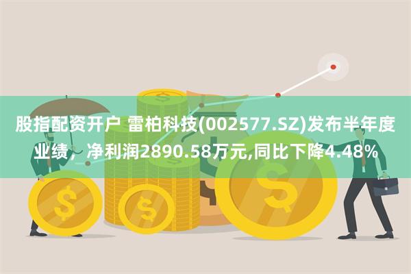 股指配资开户 雷柏科技(002577.SZ)发布半年度业绩，净利润2890.58万元,同比下降4.48%