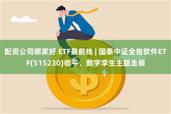 配资公司哪家好 ETF最前线 | 国泰中证全指软件ETF(515230)收平，数字孪生主题走弱