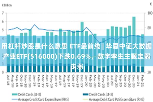 用杠杆炒股是什么意思 ETF最前线 | 华夏中证大数据产业ETF(516000)下跌0.69%，数字孪生主题走弱