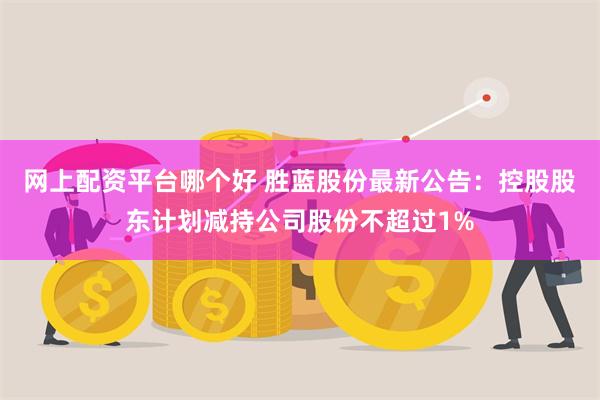 网上配资平台哪个好 胜蓝股份最新公告：控股股东计划减持公司股份不超过1%