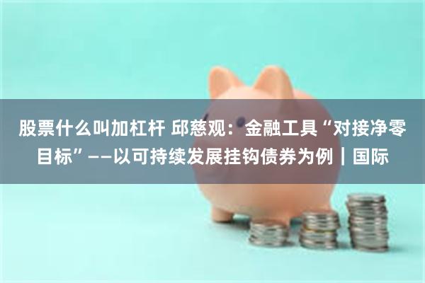 股票什么叫加杠杆 邱慈观：金融工具“对接净零目标”——以可持续发展挂钩债券为例｜国际