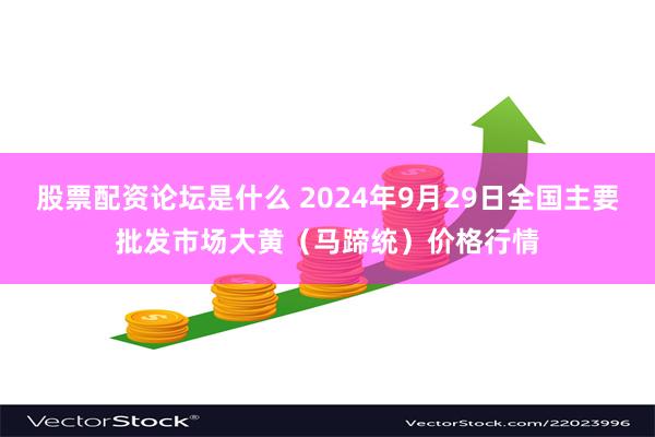 股票配资论坛是什么 2024年9月29日全国主要批发市场大黄（马蹄统）价格行情