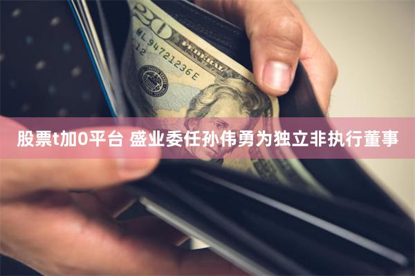 股票t加0平台 盛业委任孙伟勇为独立非执行董事