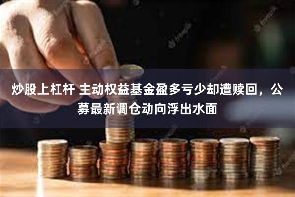 炒股上杠杆 主动权益基金盈多亏少却遭赎回，公募最新调仓动向浮出水面